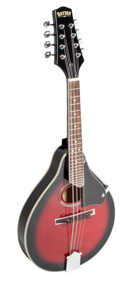 SMA20 BRYDEN Arch top mandolin