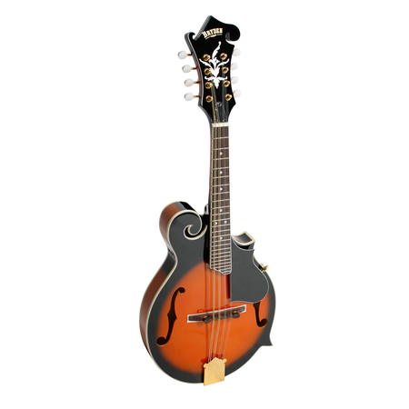 Bryden Archtop Mandolin