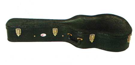 Acoustic Guitar Case   Xtreme