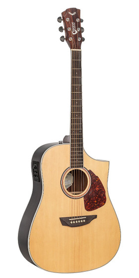 Guitar Dreadnought Samick 550 series