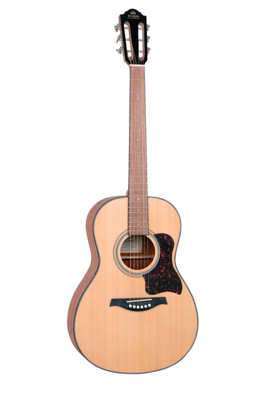 Guitar - Gilman - 40 series