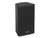 Samson  RSX112 12" High Performance PA Speaker.