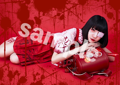 14th Generation Toilet Hanako San BIRTHDAY LIVE Poster - Idol