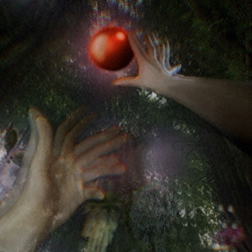 WANMINI CD - "UNTRANSLATABLE"