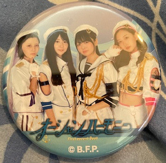 FIRST ESCORT FLEET OCEAN HARMONY MEMBER PIN