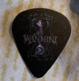 WANMINI - GUITAR PIC