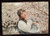 RIO "SAKURA" Bromide set
