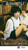 Shirai Photobook 0304-251 with Shirai Sticker