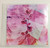 Okinawa Electric Girl Saya Chan "Bud" CD