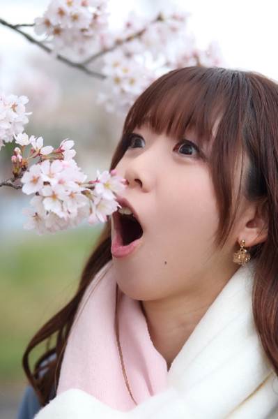 MIHO - "CHERRY BLOSSOM WONDERLAND" -DIGITAL BROMIDE SET