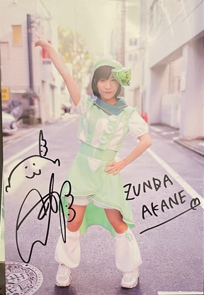 ZUNDA PHOTO SET- STAGE COSTUME