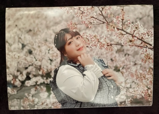 RIO "SAKURA" Bromide set