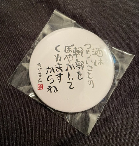 FIDZ - REGULAR MESSAGE PIN