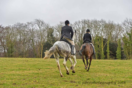 Diary of a Hunting Newcomer (Part 8) - They call me 'One O'Clock Will'