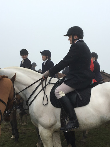 Diary of a Hunting Newcomer (part 9) - The season close. How do you make the Universe laugh?