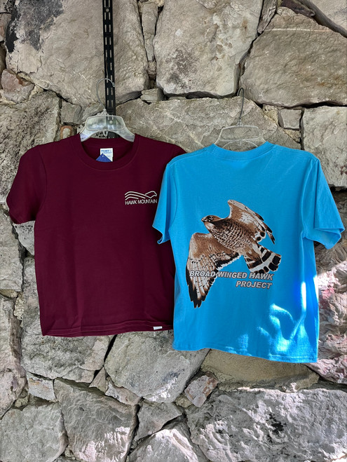 Broad-winged Hawk Tee - Youth Short Sleeve