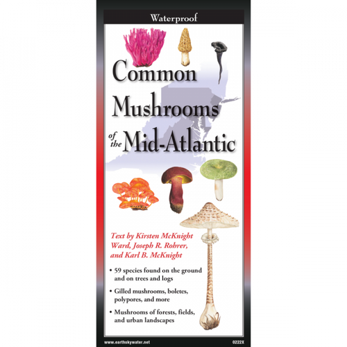 Common Mushrooms of the Mid-Atlantic Folding Guide