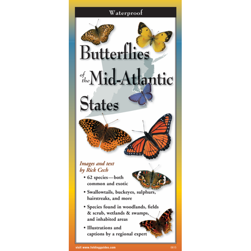 Butterflies of the Mid-Atlantic States Folding Guide
