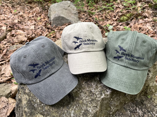 HMS 3 Raptors Cap