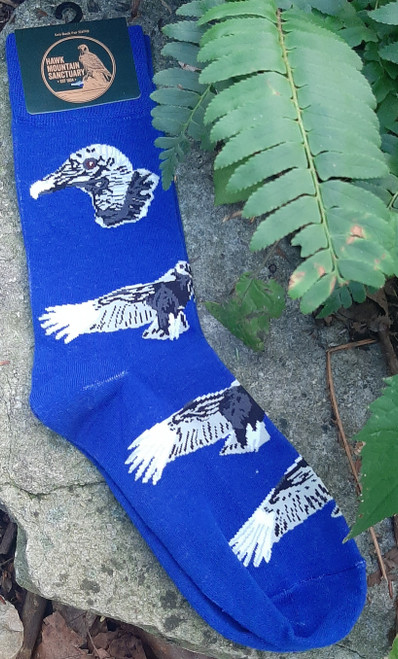 HMS Black Vulture Sock