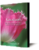 Galatians (CD Set)