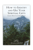 How to Identify and Use Your Spiritual Gifts (Booklet)