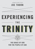 Experiencing the Trinity (Paperback)