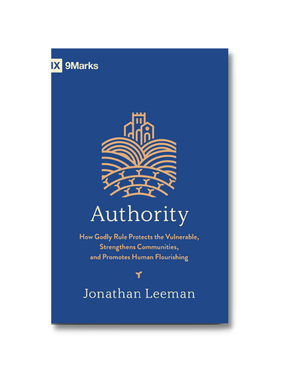 Authority: How Godly Rule Protects the Vulnerable, Strengthens Community, and Promotes Human Flourishing (Paperback)