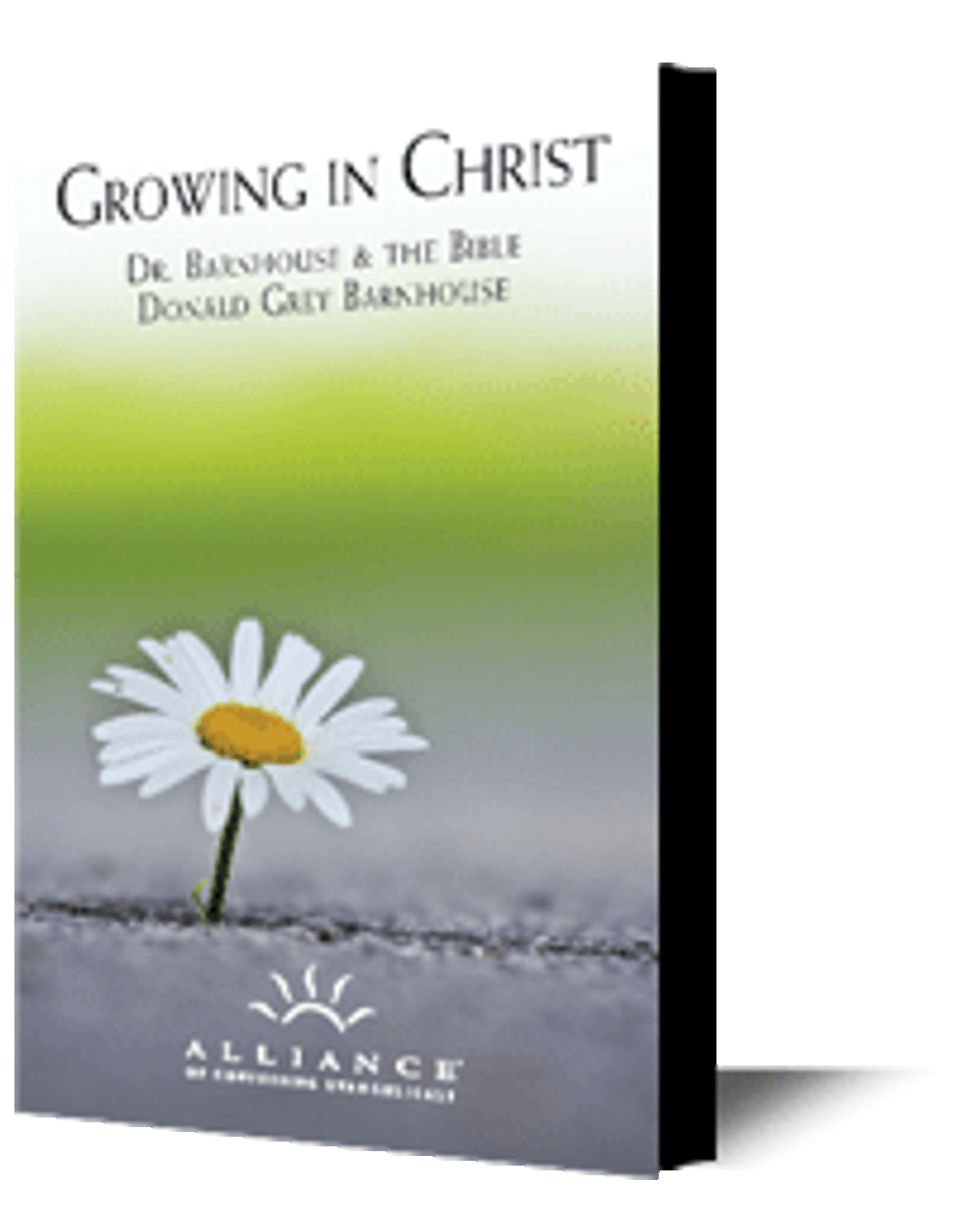 Growing In Christ (mp3 Disc)