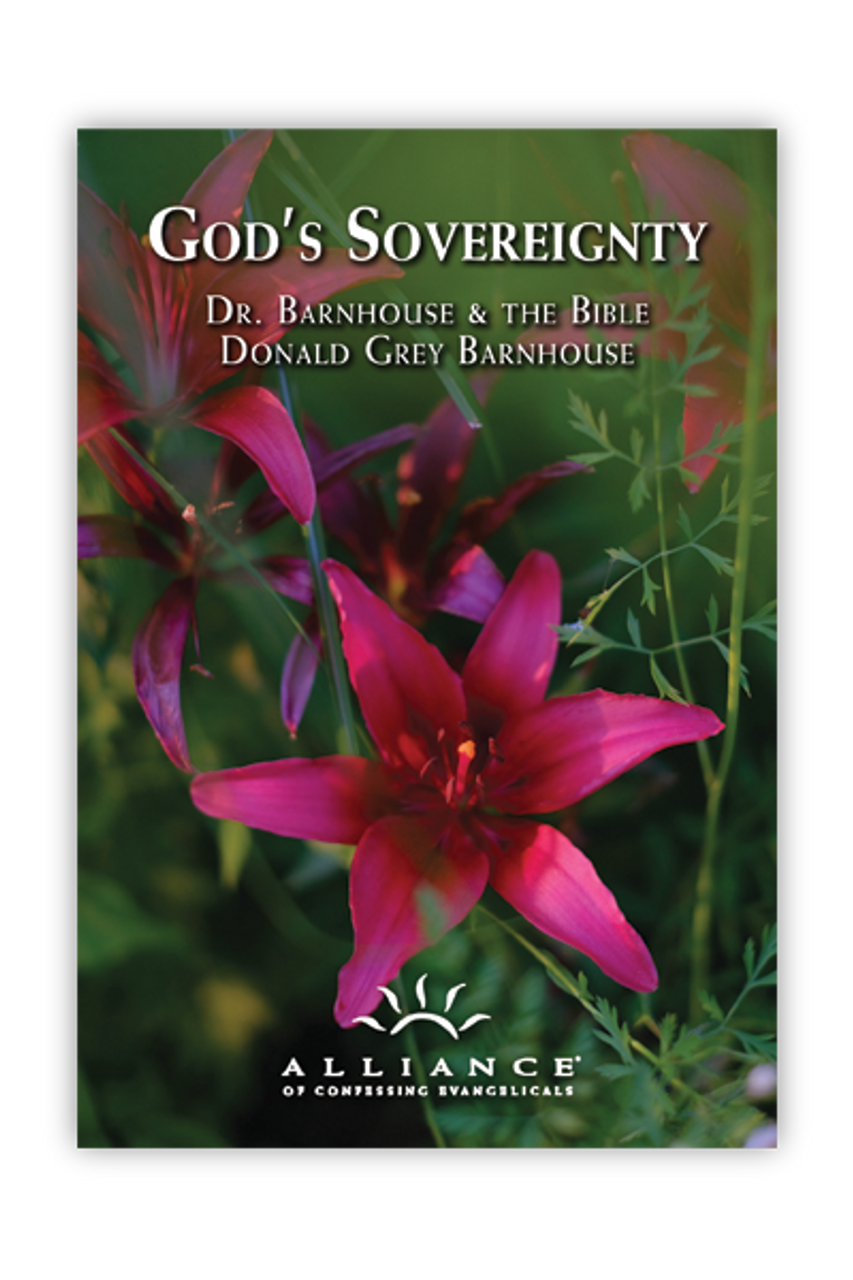 God's Sovereignty (mp3 Disc)