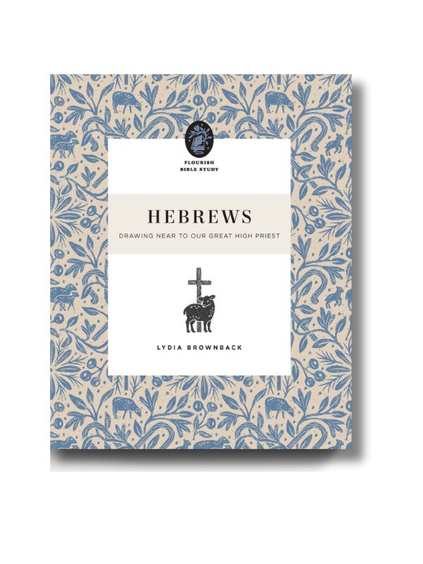 Hebrews: Drawing Near to Our Great High Priest (Paperback)