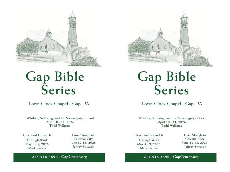 Gap Bible Series Bulletin Insert (PDF Download)