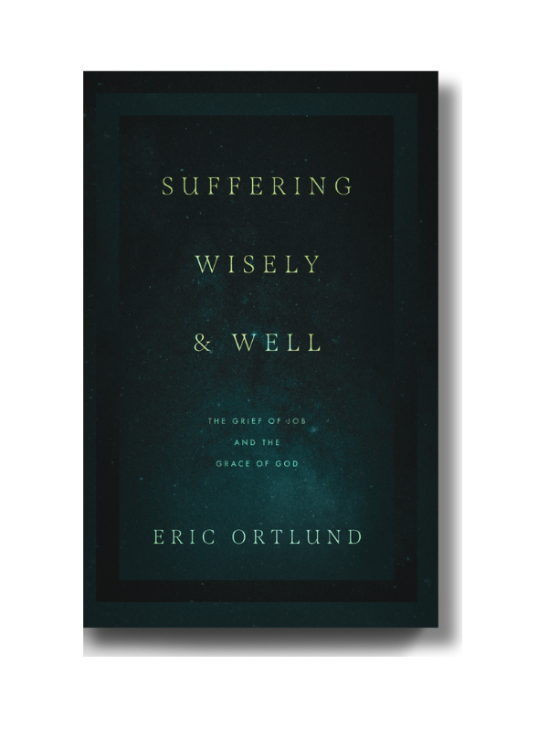 Suffering Wisely and Well (Paperback)