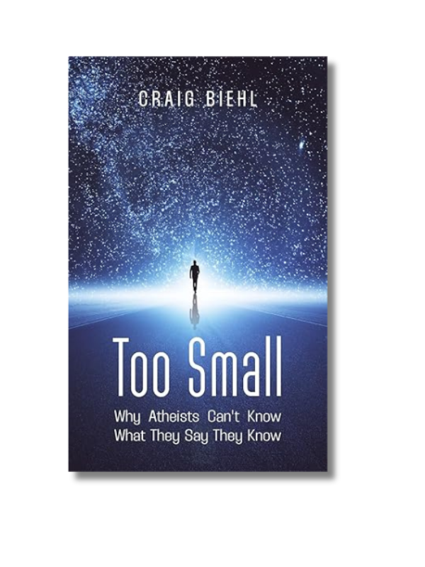 Too Small (Paperback)