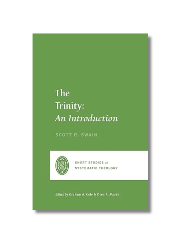 The Trinity: An Introduction (Paperback)