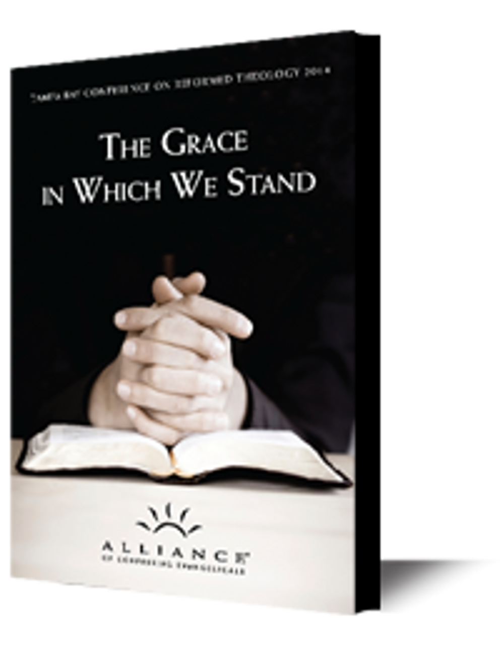 The Grace in Which We Stand (mp3 Disc)