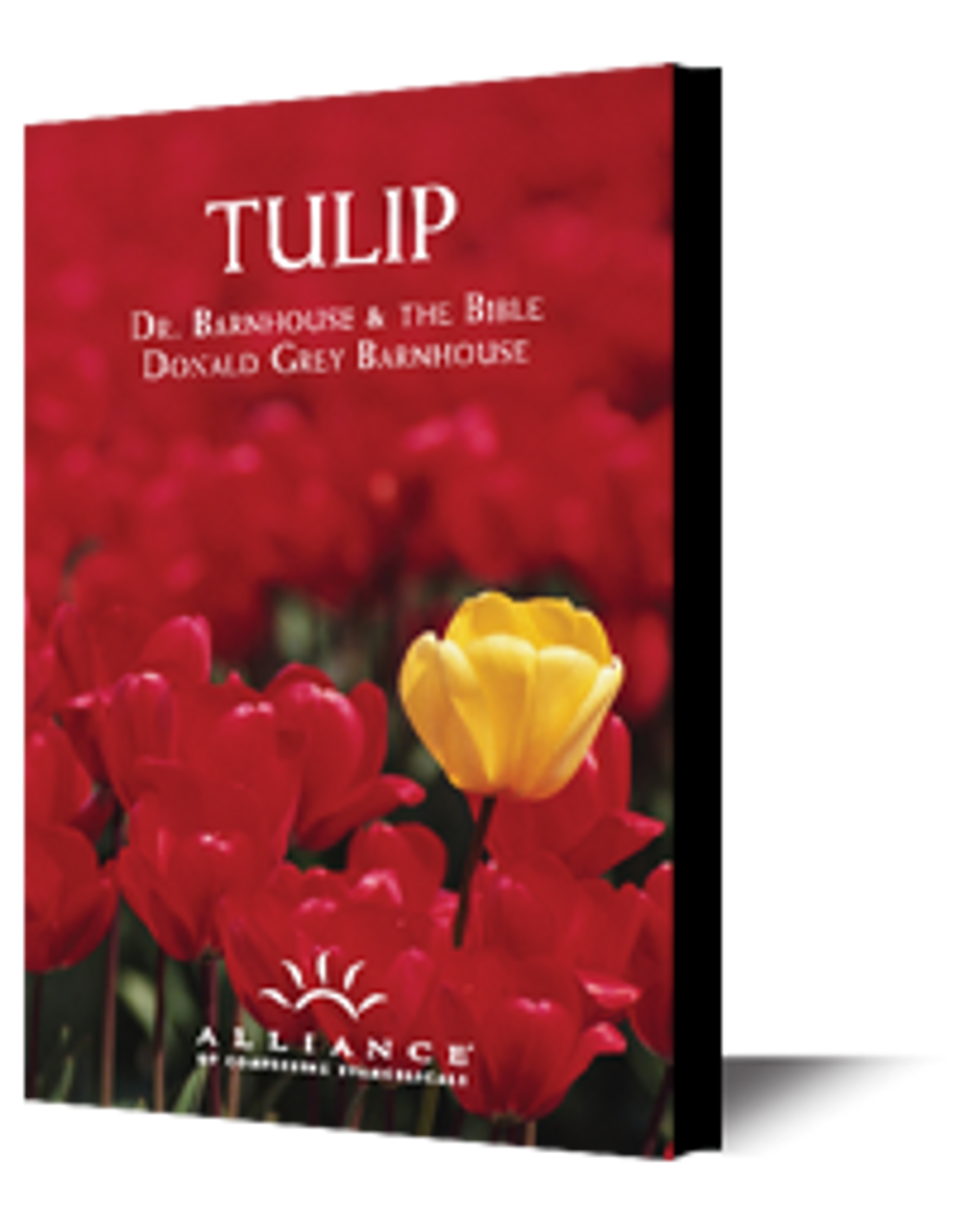 Perseverance of the Saints Part 1 // Perseverance of the Saints Part 2 (CD) Perseverance of the Saints Part 1 // Perseverance of the Saints Part 2 (CD)