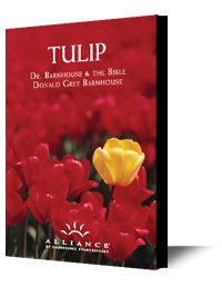 TULIP THE TULIP COMPLETE CD アンソロジーブック THE TULIP COMPLETE アンソロジーブックとライブCD セット TULIP THE