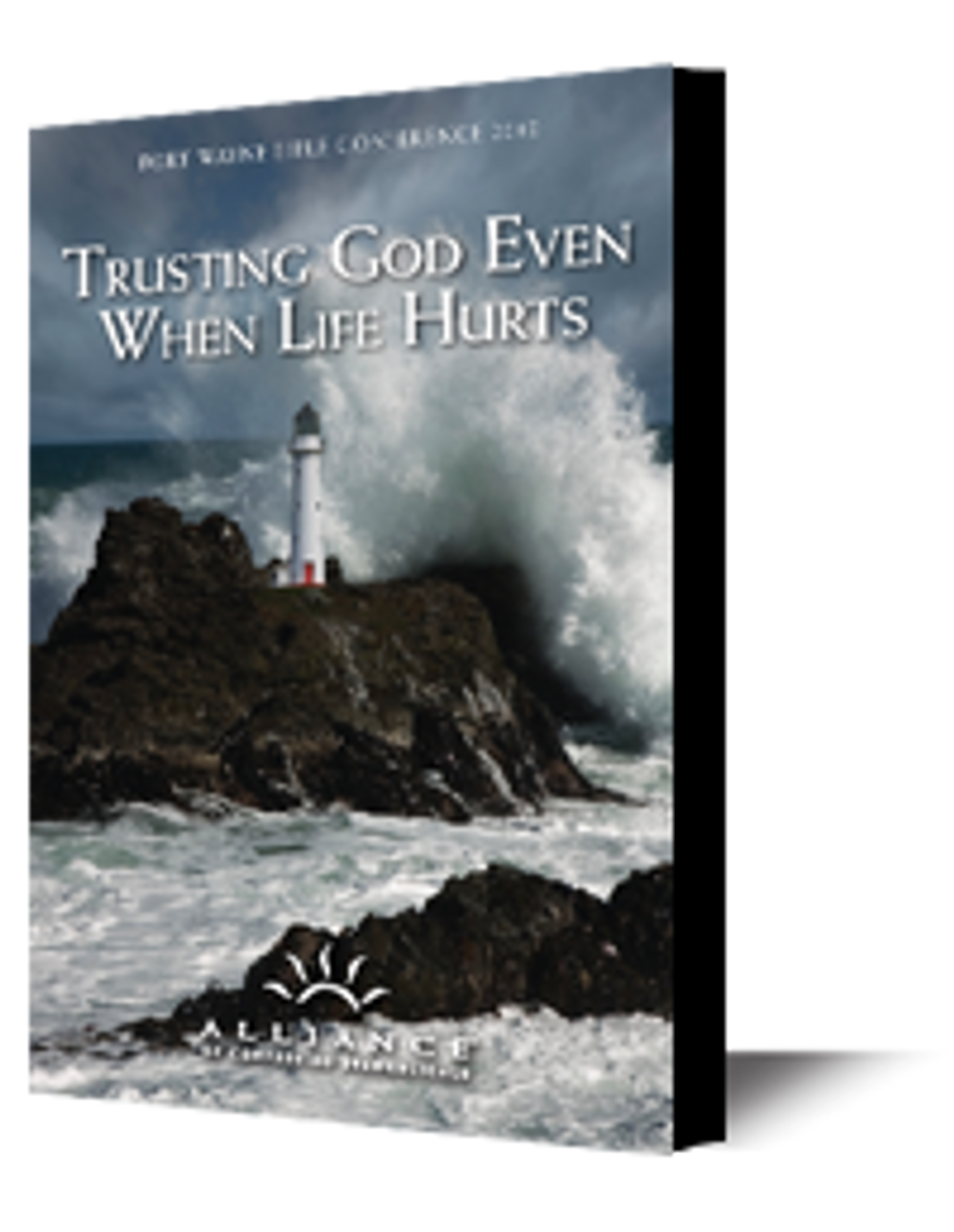 Trusting God's Sovereignty (CD)