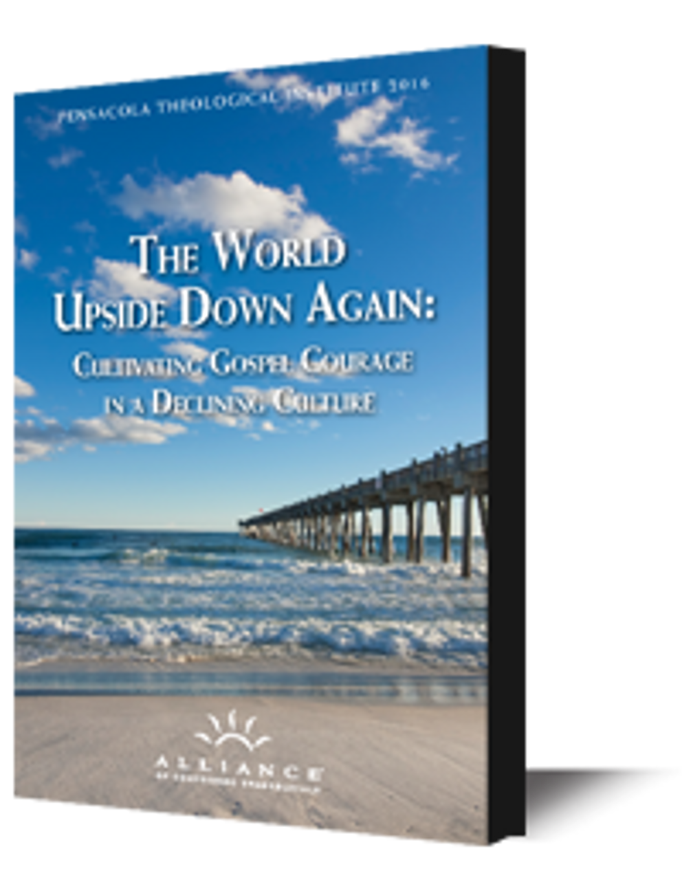 The Christian's Comfort in a Challenging World  (CD)