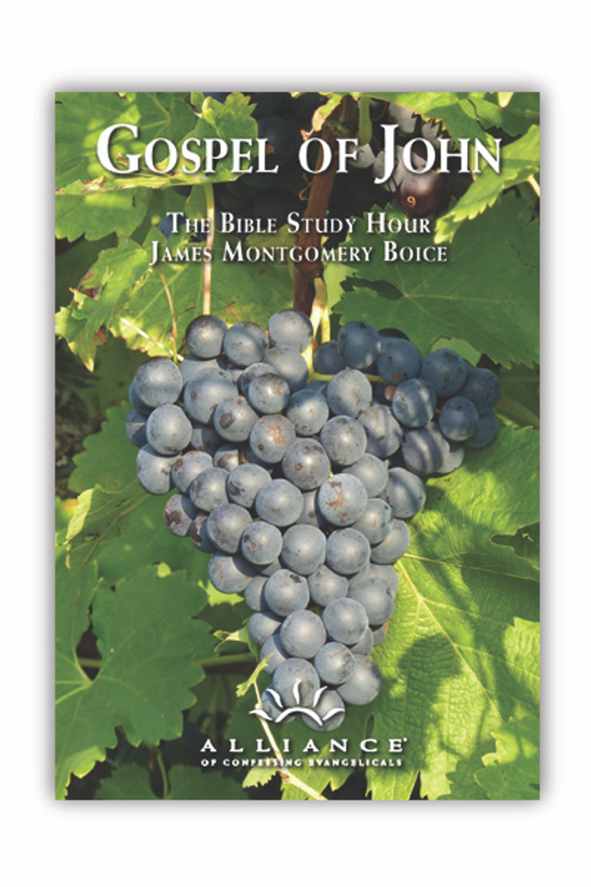 Gospel of John, Volume 28 (John 17:18-18:3)(CD Set)