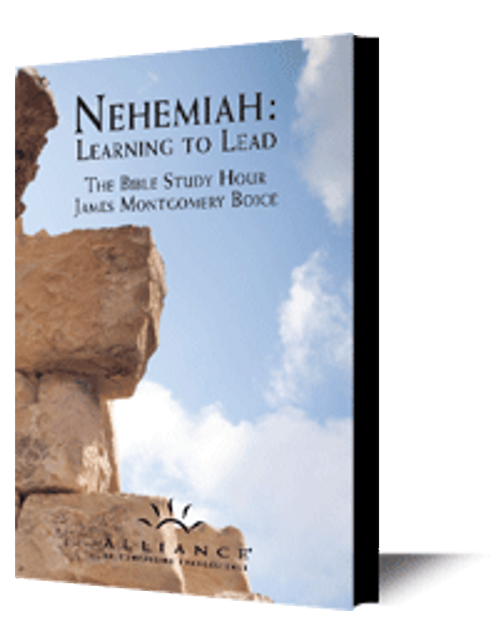 Nehemiah: Learning to Lead (CD Set)