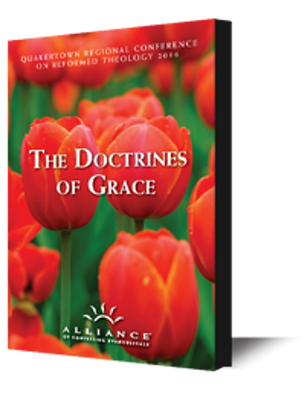 Grace and Assurance (QCRT16)(mp3 download)