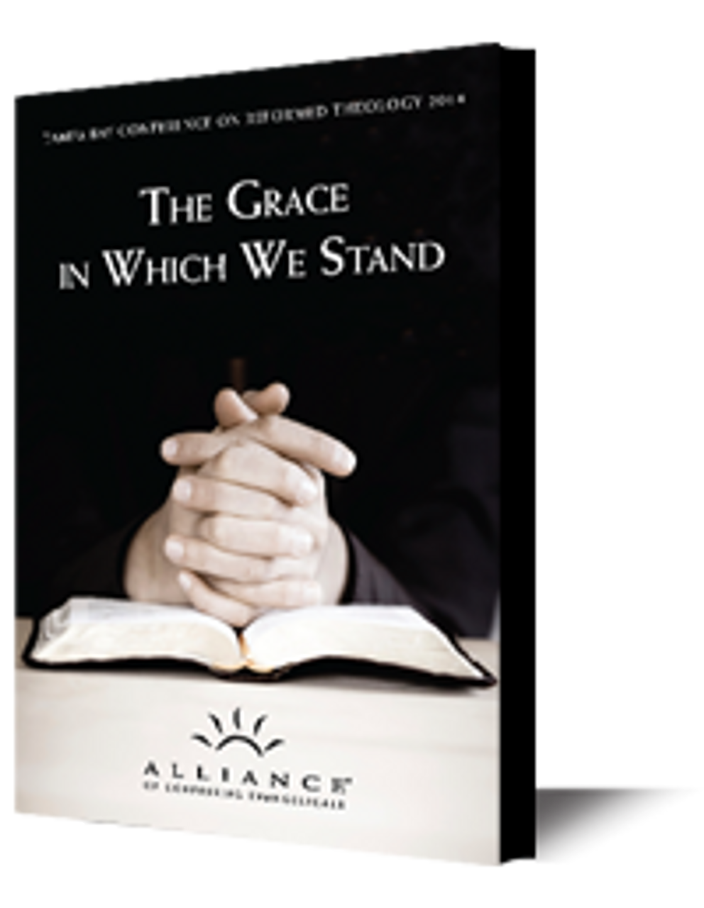 The Grace in Which We Stand (CD Set)