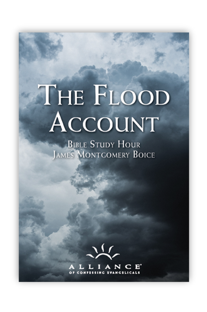 The Flood Account (mp3 Download Set)