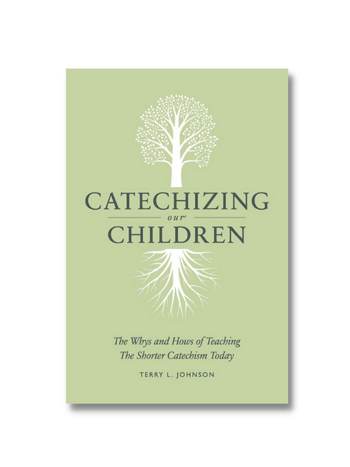 Catechizing Our Children (Paperback)