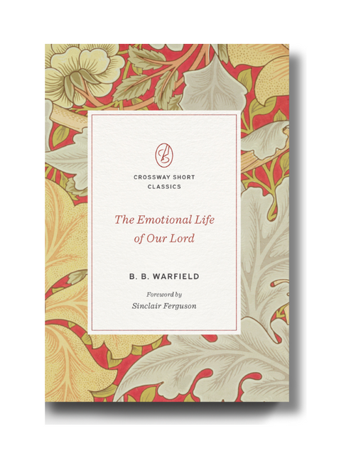 The Emotional Life of Our Lord (Paperback)