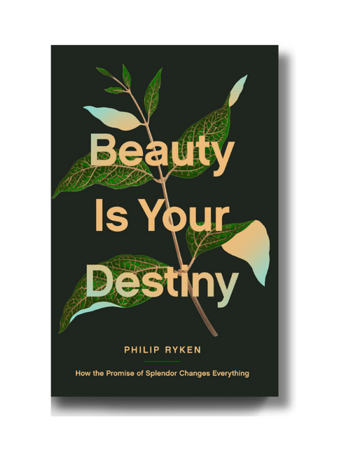 Beauty Is Your Destiny: How the Promise of Splendor Changes Everything (Paperback)