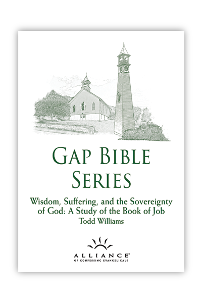 Wisdom, Suffering, and the Sovereignty of God (mp3 Disc)