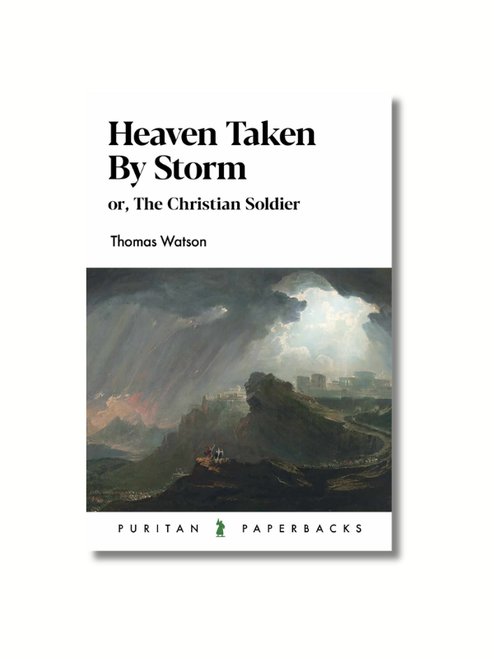 Heaven Taken By Storm (Paperback)